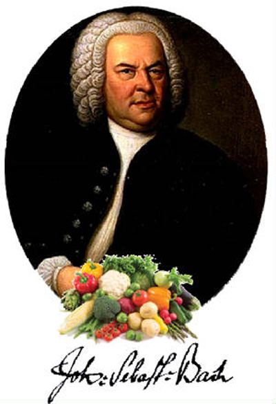 Bach food