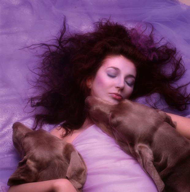 Kate bush фото сейчас