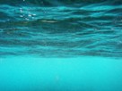 Featured image for post 'The complexities of underwater acoustics