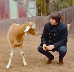 Featured image for post 'Brian Wilson’s good vibrations